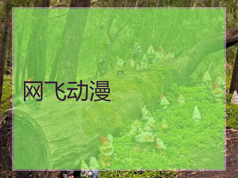 网飞动漫 网飞动漫