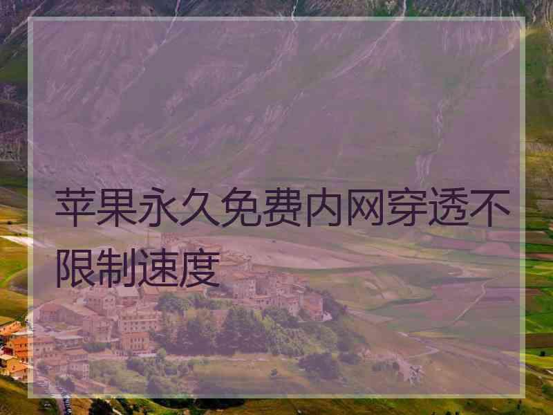 苹果永久免费内网穿透不限制速度 苹果永久免费内网穿透不限制速度