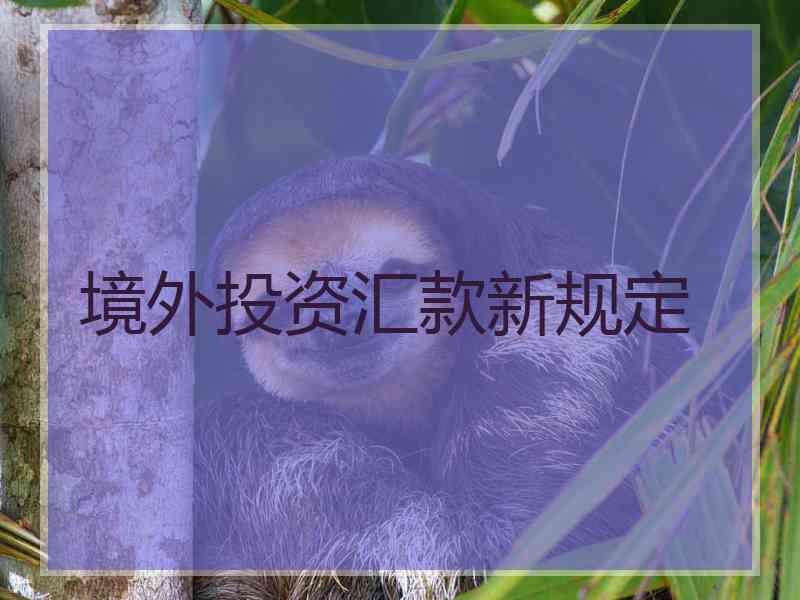 境外投资汇款新规定 境外投资汇款新规定
