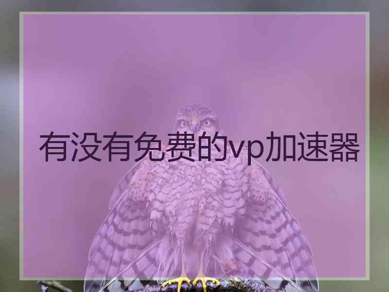 有没有免费的vp加速器 有没有免费的vp加速器