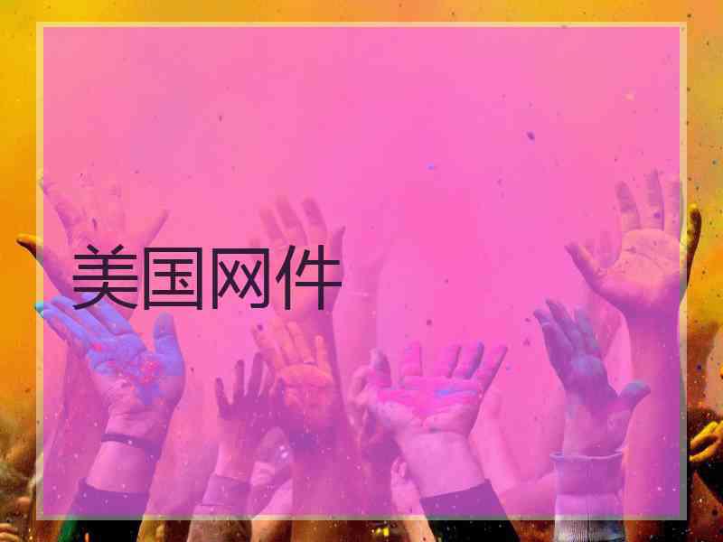 美国网件 美国网件