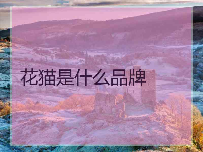 花猫是什么品牌 花猫是什么品牌