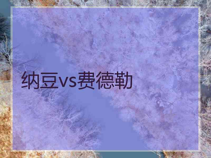 纳豆vs费德勒 纳豆vs费德勒
