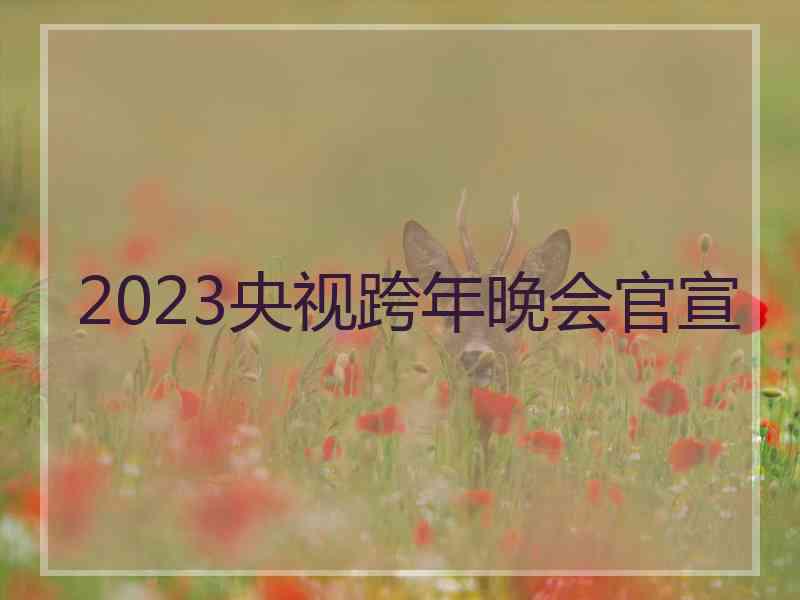 2023央视跨年晚会官宣 2023央视跨年晚会官宣