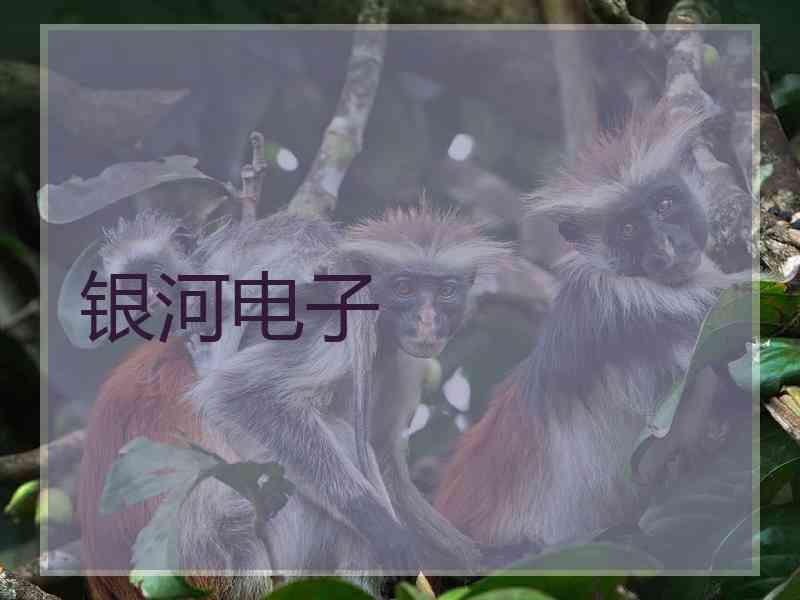 银河电子 银河电子