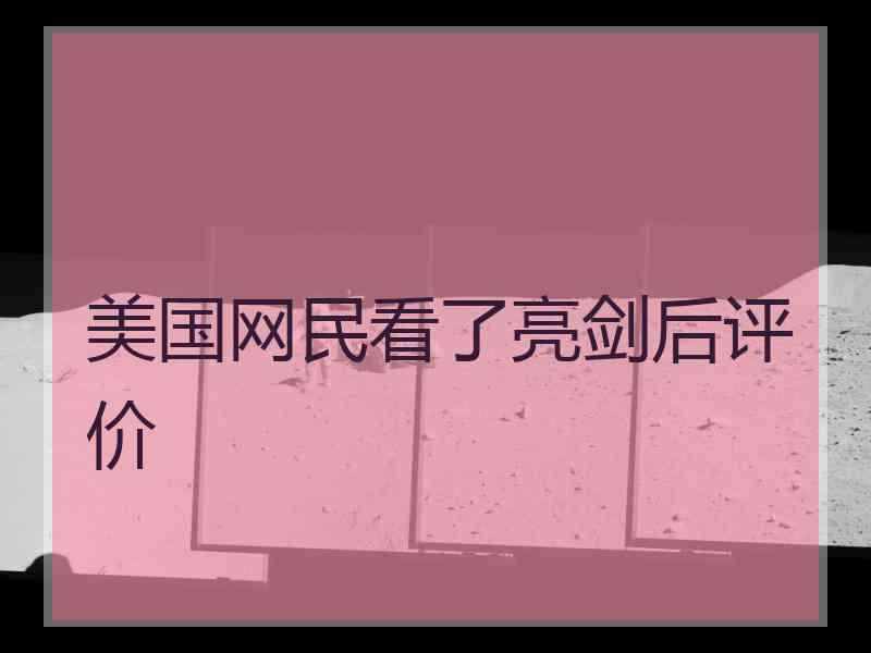 美国网民看了亮剑后评价 美国网民看了亮剑后评价