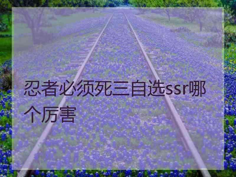 忍者必须死三自选ssr哪个厉害 忍者必须死三自选ssr哪个厉害