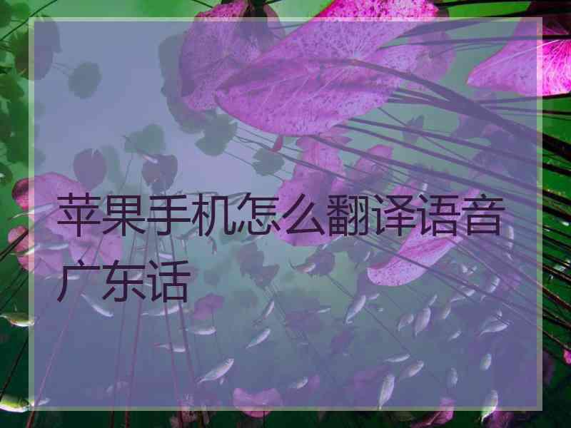 苹果手机怎么翻译语音广东话 苹果手机怎么翻译语音广东话
