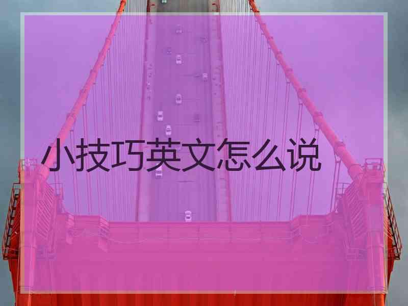 小技巧英文怎么说 小技巧英文怎么说