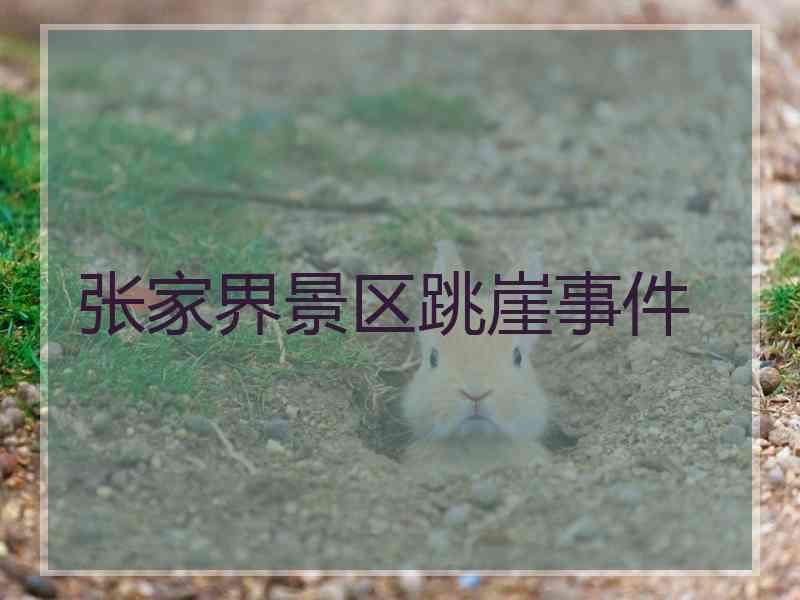 张家界景区跳崖事件 张家界景区跳崖事件