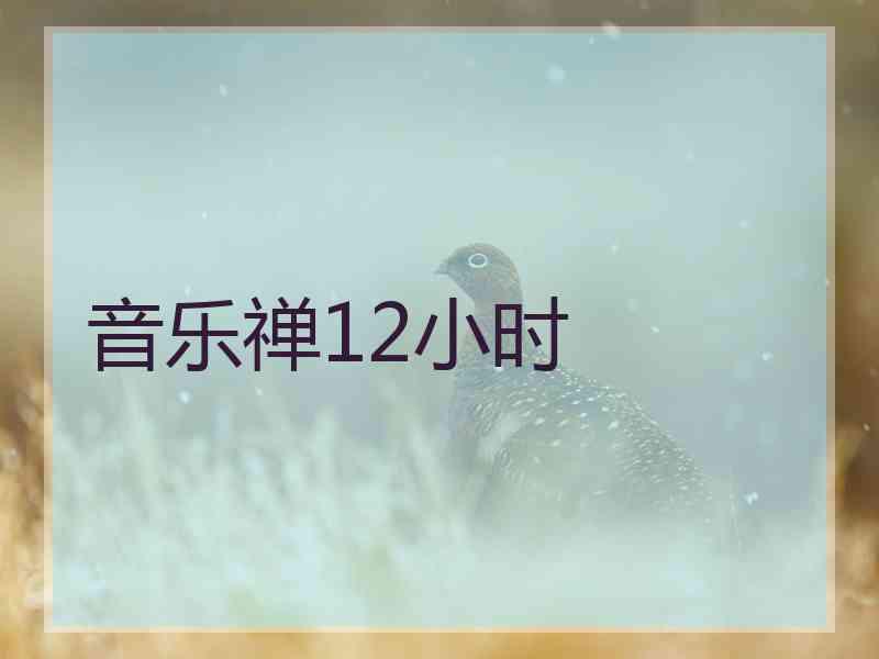 音乐禅12小时 音乐禅12小时