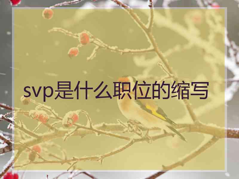 svp是什么职位的缩写 svp是什么职位的缩写