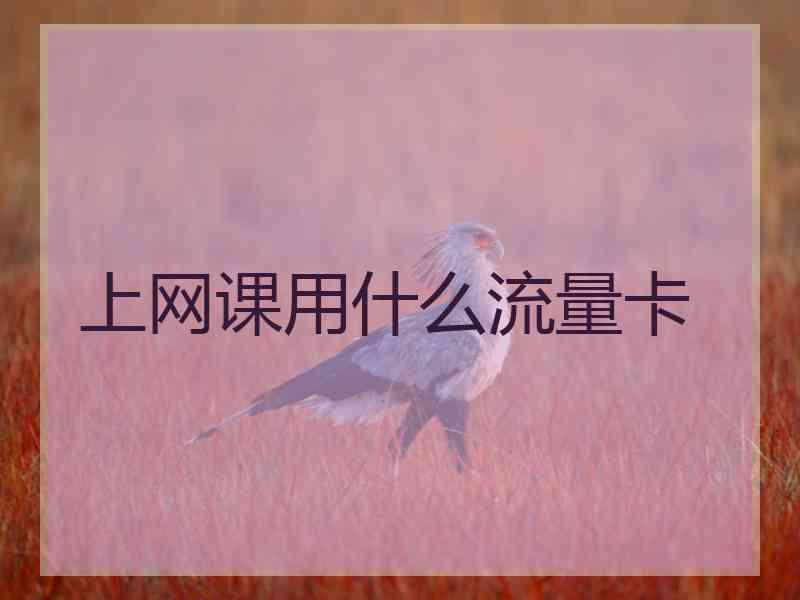 上网课用什么流量卡 上网课用什么流量卡