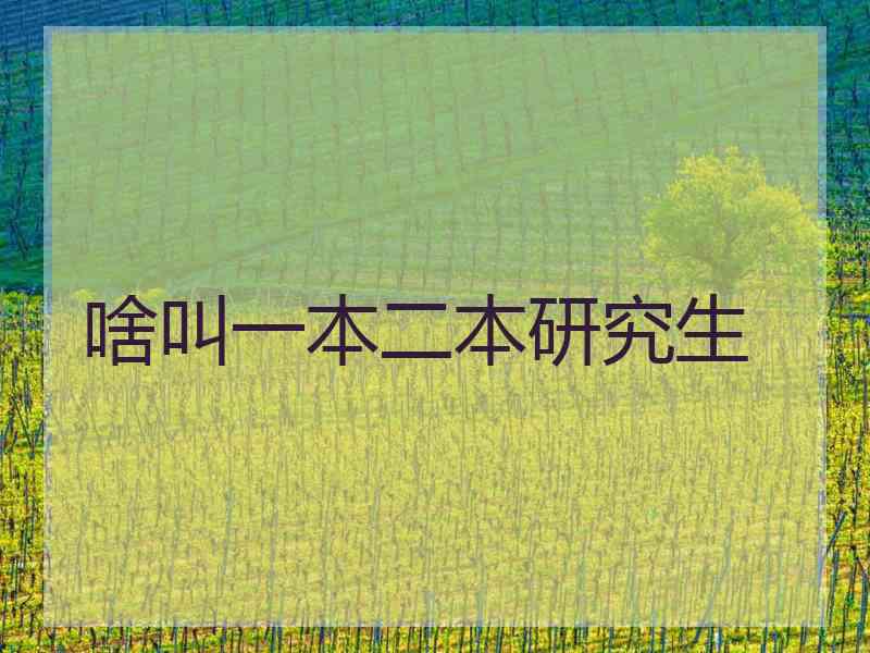 啥叫一本二本研究生 啥叫一本二本研究生