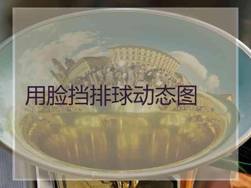 用脸挡排球动态图 用脸挡排球动态图