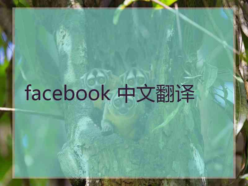 facebook 中文翻译 facebook 中文翻译