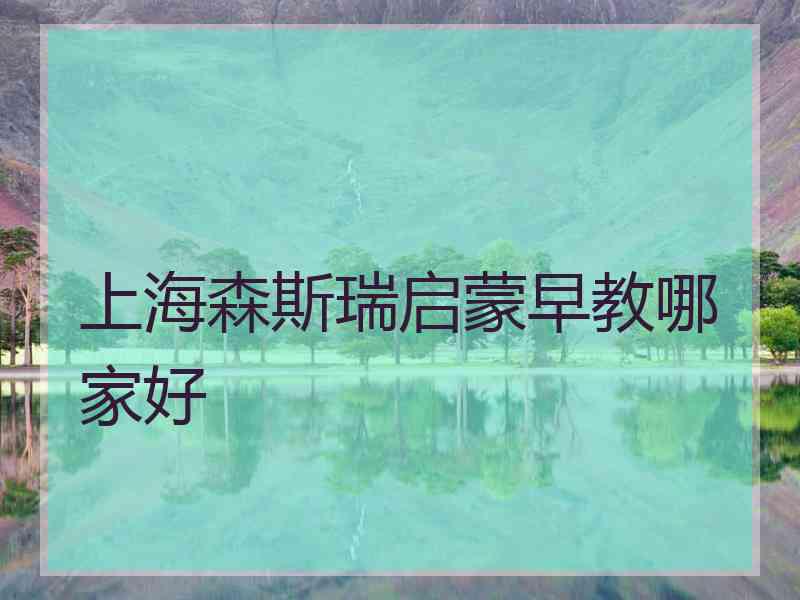 上海森斯瑞启蒙早教哪家好 上海森斯瑞启蒙早教哪家好