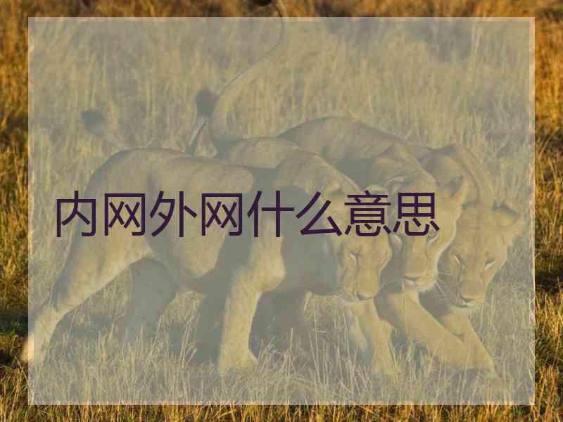 内网外网什么意思 内网外网什么意思