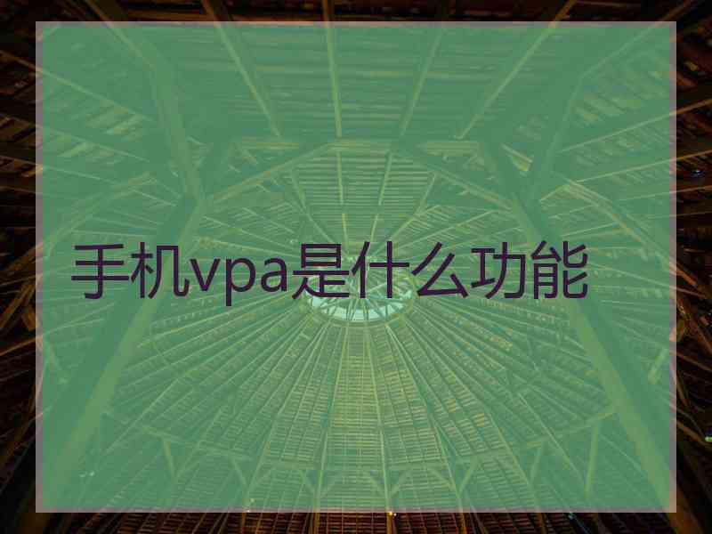 手机vpa是什么功能 手机vpa是什么功能
