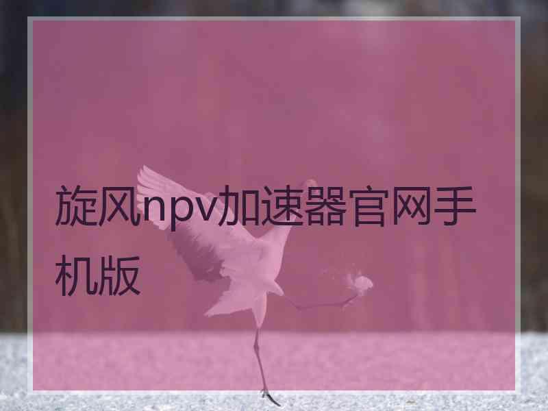 旋风npv加速器官网手机版 旋风npv加速器官网手机版