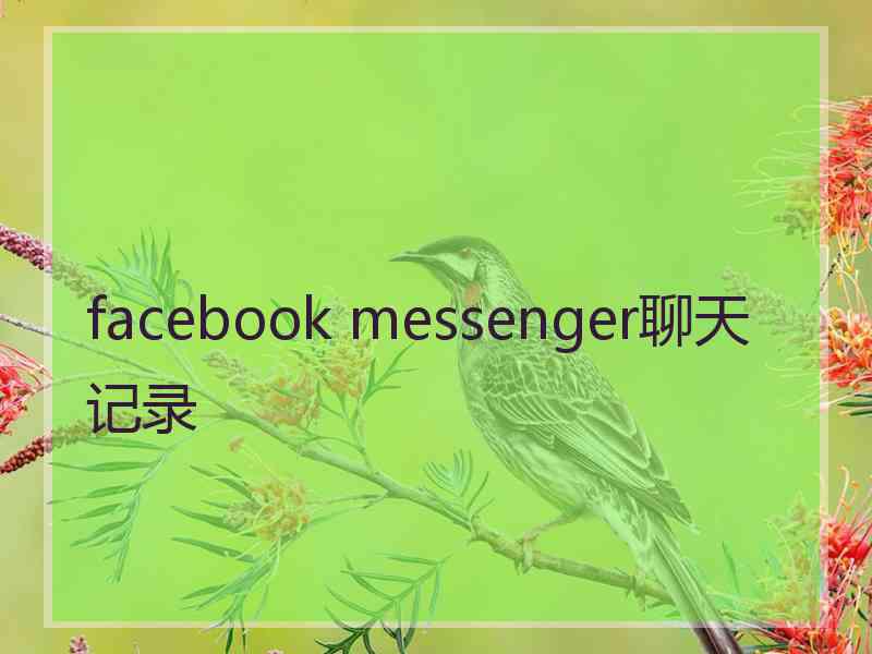 facebook messenger聊天记录 facebook messenger聊天记录