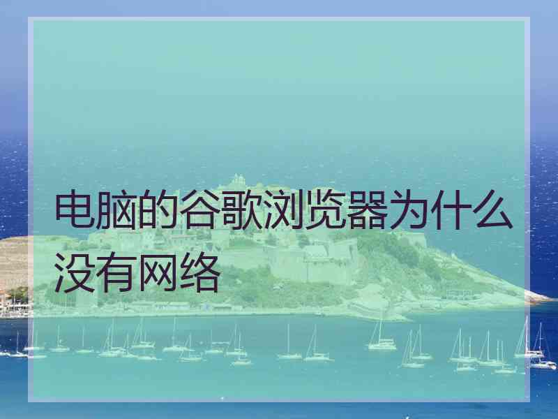 电脑的谷歌浏览器为什么没有网络 电脑的谷歌浏览器为什么没有网络