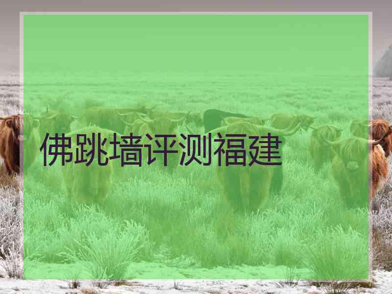 佛跳墙评测福建 佛跳墙评测福建