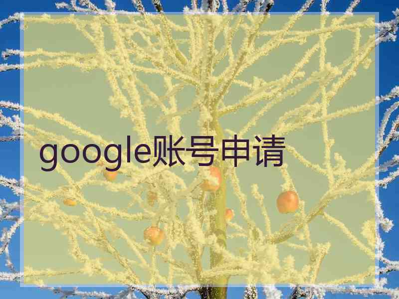 google账号申请 google账号申请