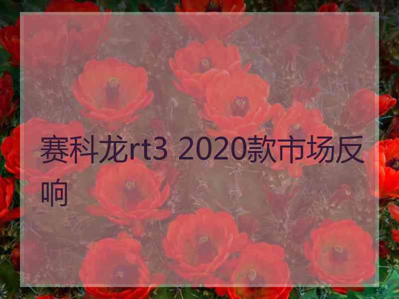 赛科龙rt3 2020款市场反响 赛科龙rt3 2020款市场反响