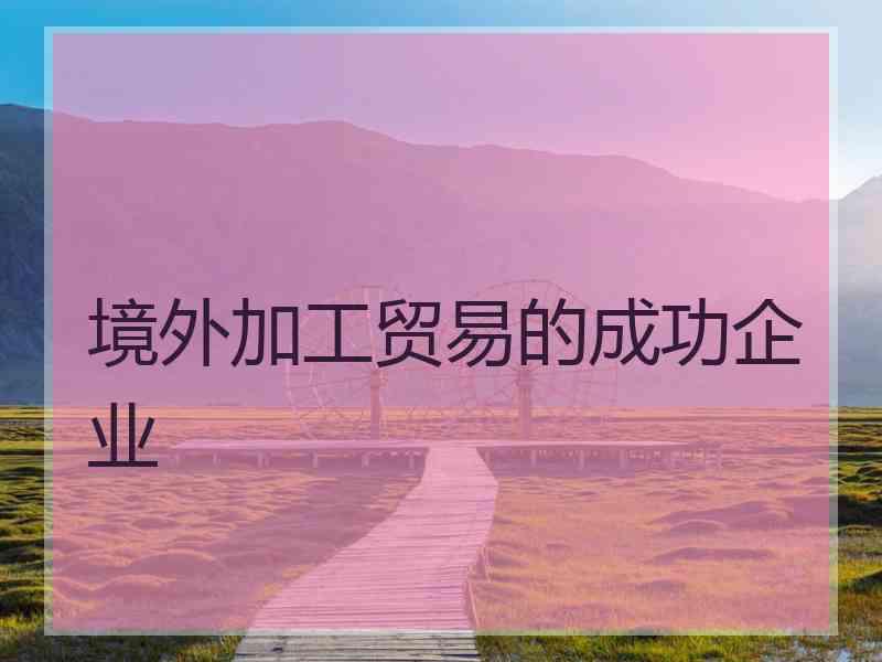 境外加工贸易的成功企业 境外加工贸易的成功企业