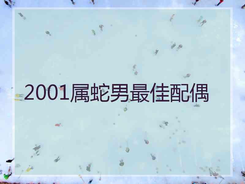 2001属蛇男最佳配偶 2001属蛇男最佳配偶
