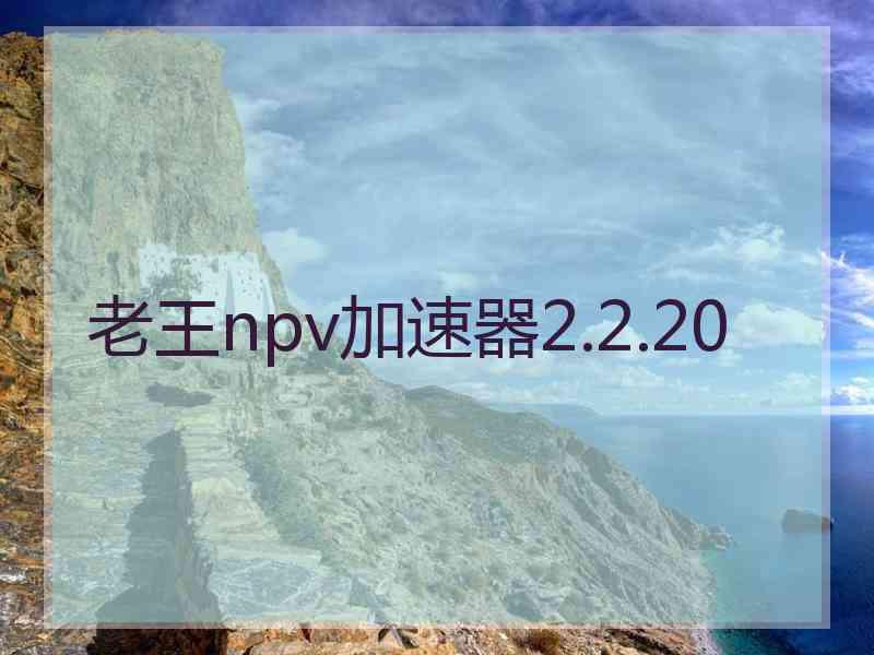 老王npv加速器2.2.20 老王npv加速器2.2.20