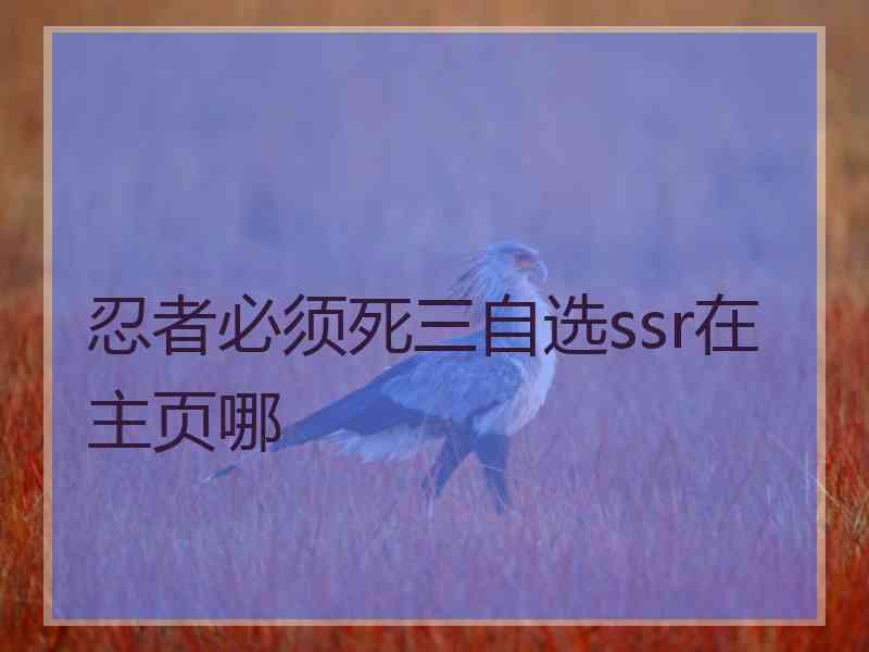 忍者必须死三自选ssr在主页哪 忍者必须死三自选ssr在主页哪