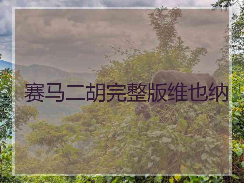 赛马二胡完整版维也纳 赛马二胡完整版维也纳