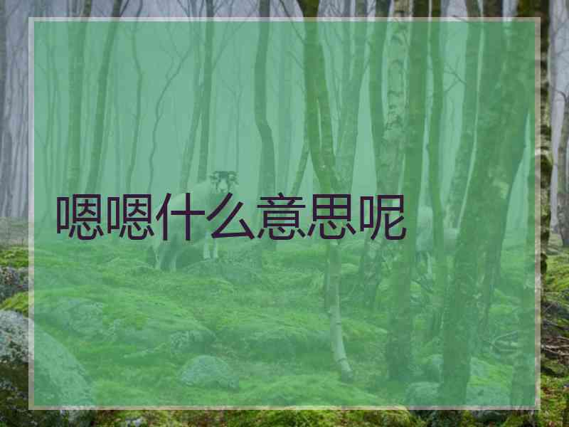 嗯嗯什么意思呢 嗯嗯什么意思呢