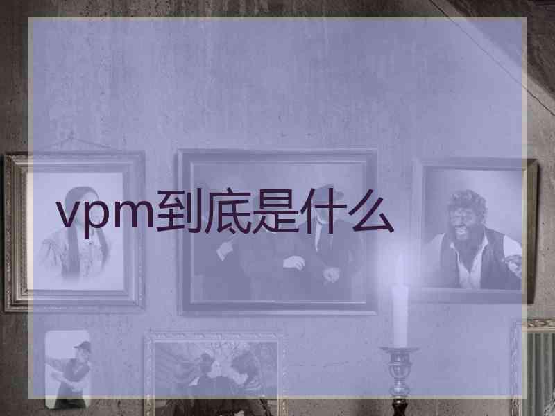 vpm到底是什么 vpm到底是什么