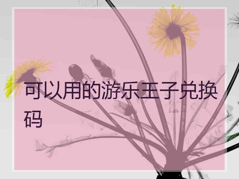 可以用的游乐王子兑换码 可以用的游乐王子兑换码