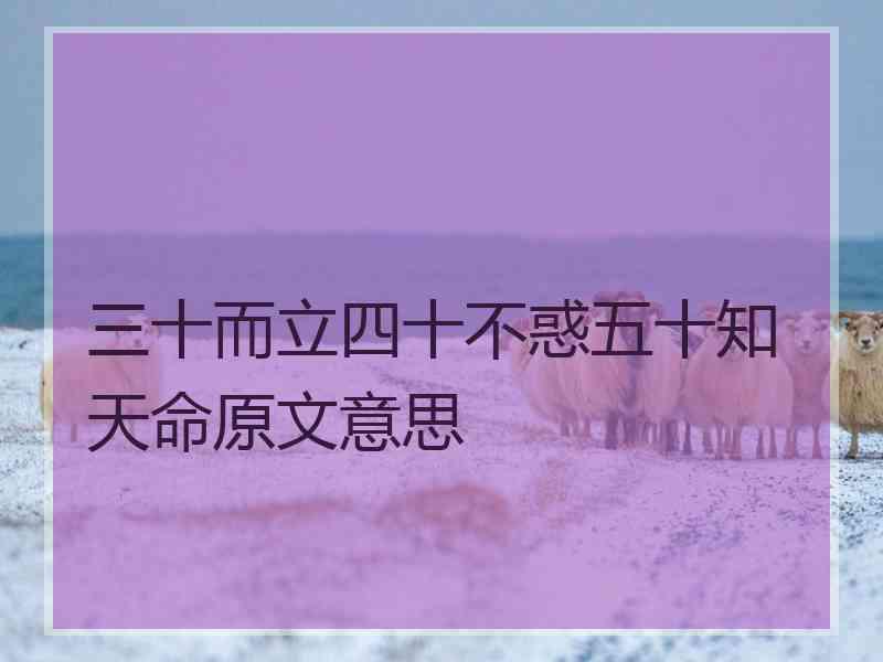 三十而立四十不惑五十知天命原文意思 三十而立四十不惑五十知天命原文意思