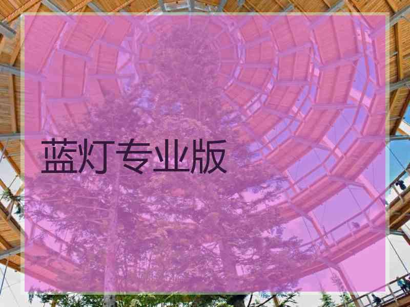 蓝灯专业版 蓝灯专业版