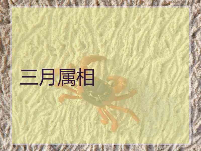 三月属相 三月属相