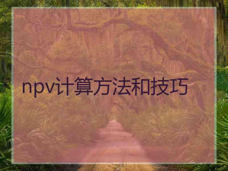 npv计算方法和技巧 npv计算方法和技巧