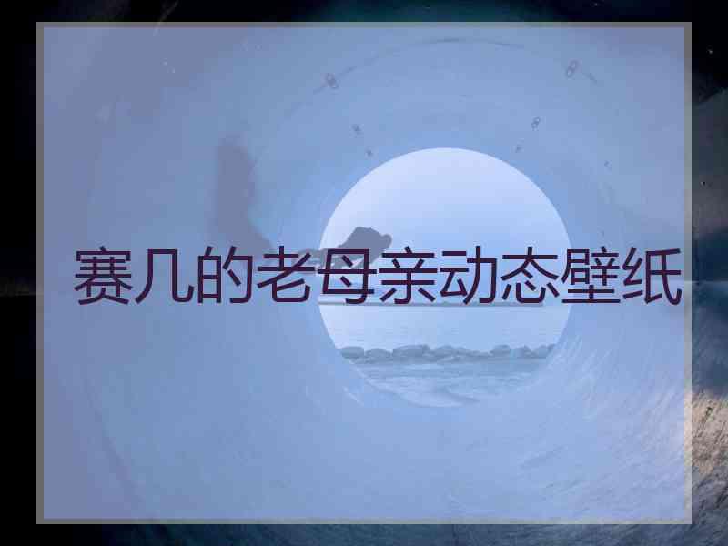 赛几的老母亲动态壁纸 赛几的老母亲动态壁纸