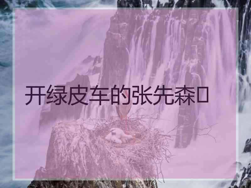 开绿皮车的张先森✈ 开绿皮车的张先森✈