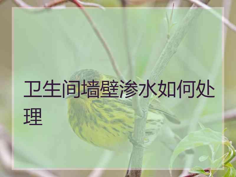 卫生间墙壁渗水如何处理 卫生间墙壁渗水如何处理
