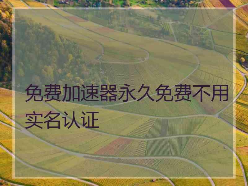免费加速器永久免费不用实名认证 免费加速器永久免费不用实名认证