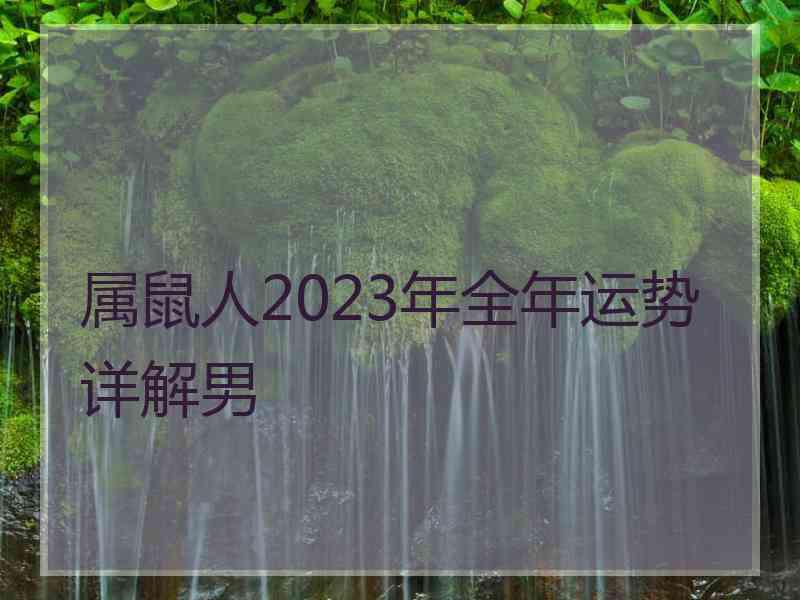 属鼠人2023年全年运势详解男 属鼠人2023年全年运势详解男