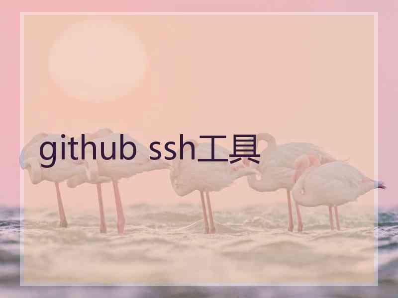 github ssh工具 github ssh工具
