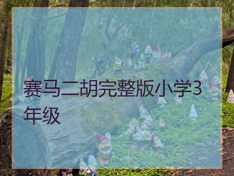 赛马二胡完整版小学3年级 赛马二胡完整版小学3年级