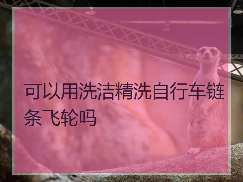 可以用洗洁精洗自行车链条飞轮吗 可以用洗洁精洗自行车链条飞轮吗