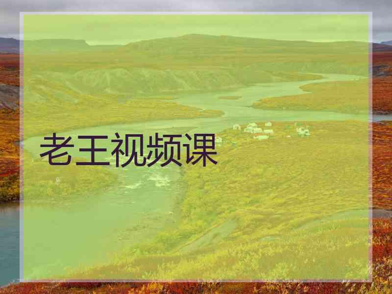 老王视频课 老王视频课